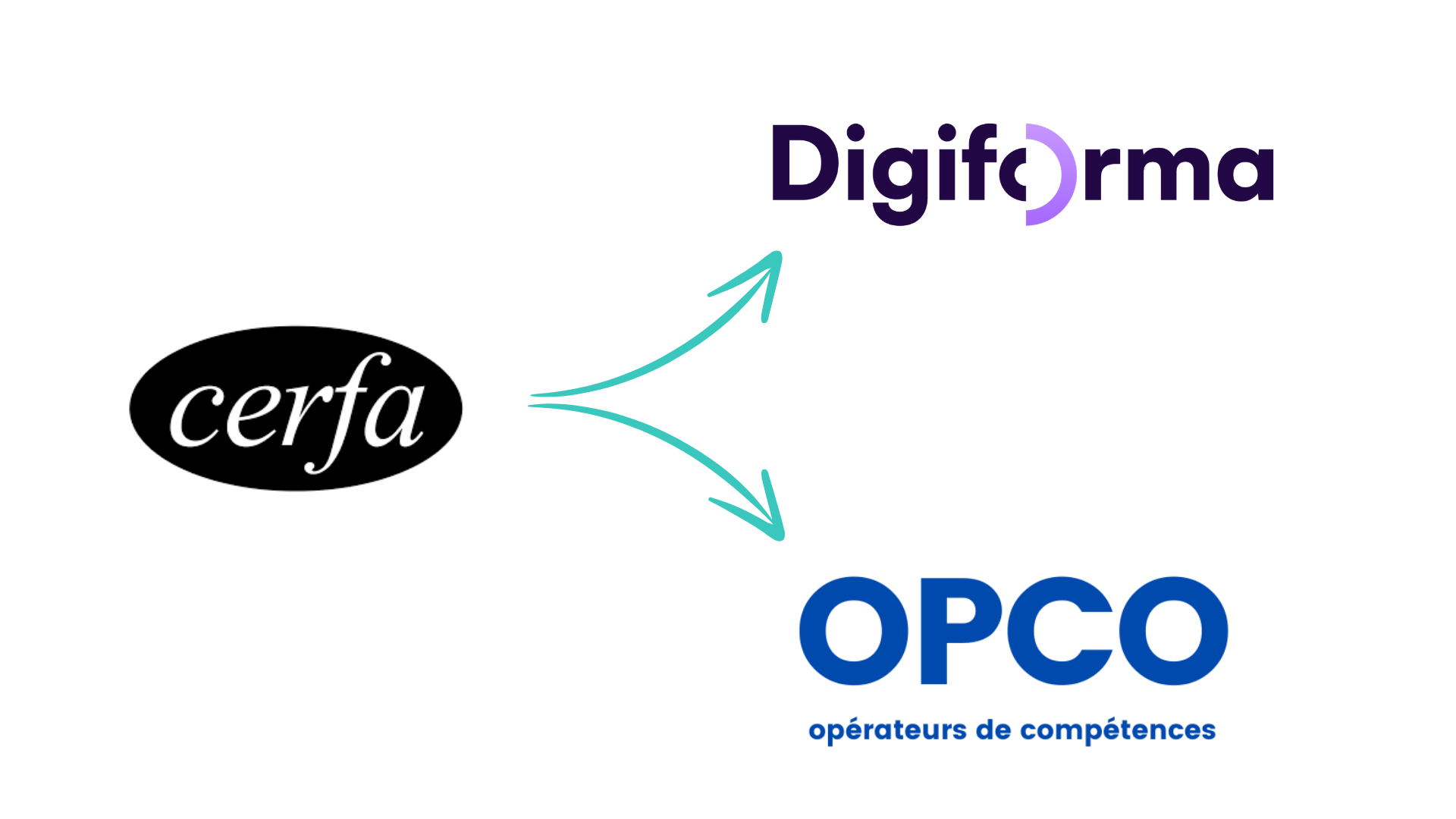 Liaison directe avec les OPCO